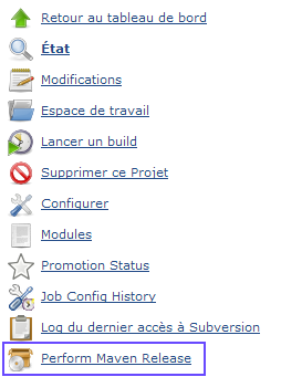 jenkins-maven-release-build-launch