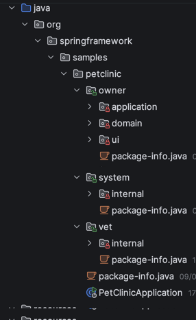 Organisation du module owner en packages ui, application et domain