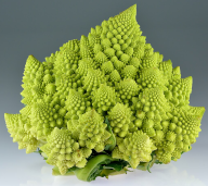 Chou-fleur romanesco, exemple de structure fractale dans la nature:left